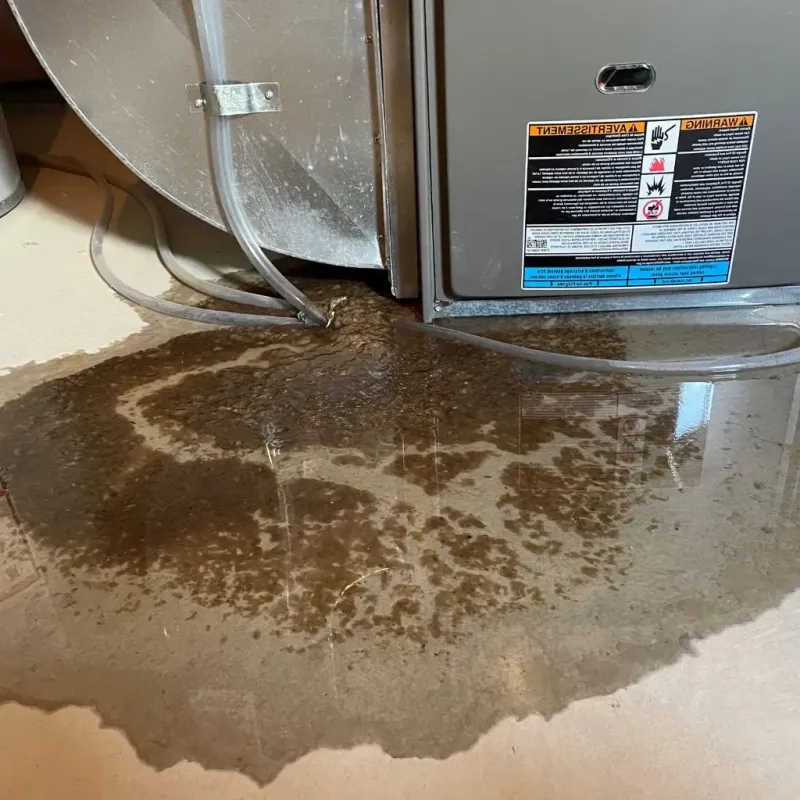 Pipe Burst and Leak Restoration in Hartington, NE